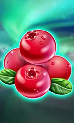 Winterberries