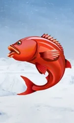 Ice Fishing